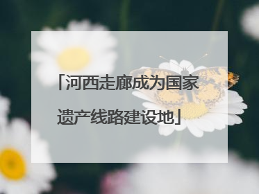 河西走廊成为国家遗产线路建设地