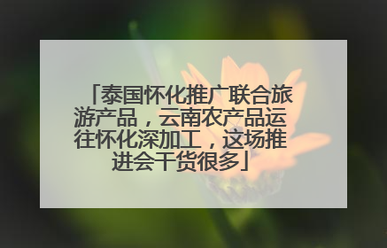 泰国怀化推广联合旅游产品，云南农产品运往怀化深加工，这场推进会干货很多