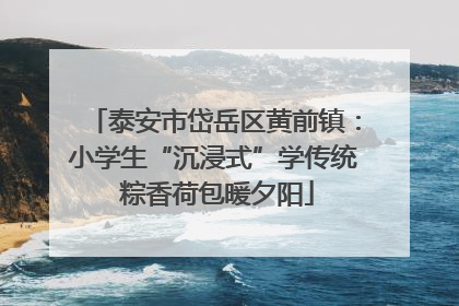 泰安市岱岳区黄前镇：小学生“沉浸式”学传统 粽香荷包暖夕阳