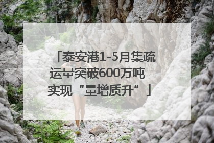 泰安港1-5月集疏运量突破600万吨 实现“量增质升”