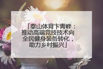 泰山体育卞青峰：推动高端竞技技术向全民健身装备转化，助力乡村振兴