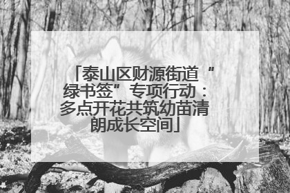 泰山区财源街道“绿书签”专项行动：多点开花共筑幼苗清朗成长空间