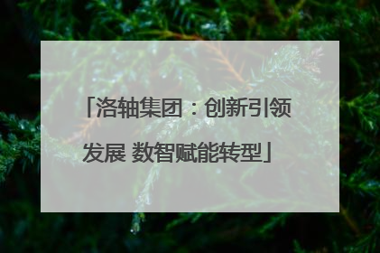 洛轴集团：创新引领发展 数智赋能转型