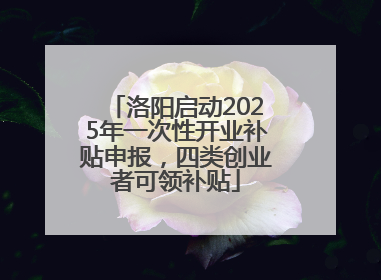 洛阳启动2025年一次性开业补贴申报，四类创业者可领补贴
