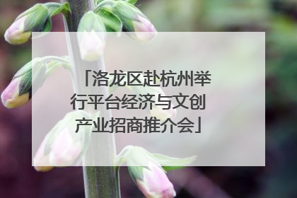 洛龙区赴杭州举行平台经济与文创产业招商推介会