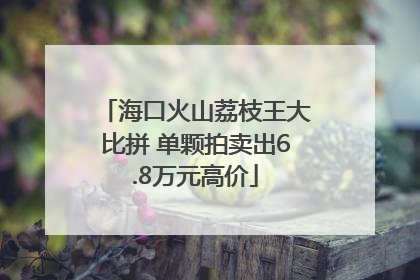 海口火山荔枝王大比拼 单颗拍卖出6.8万元高价