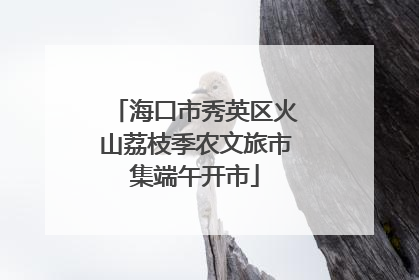 海口市秀英区火山荔枝季农文旅市集端午开市