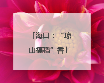 海口：“琼山福稻”香