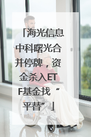 海光信息中科曙光合并停牌，资金杀入ETF基金找“平替”