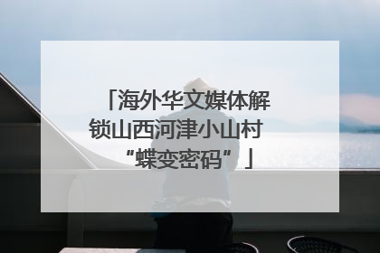 海外华文媒体解锁山西河津小山村“蝶变密码”