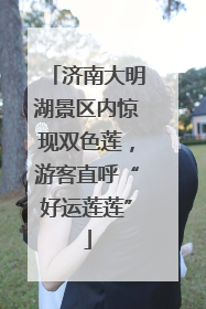 济南大明湖景区内惊现双色莲，游客直呼“好运莲莲”