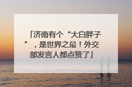 济南有个“大白胖子”，是世界之最！外交部发言人都点赞了