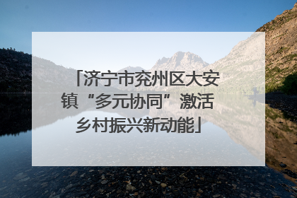 济宁市兖州区大安镇“多元协同”激活乡村振兴新动能