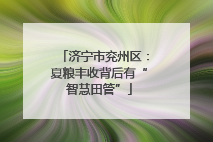 济宁市兖州区：夏粮丰收背后有“智慧田管”