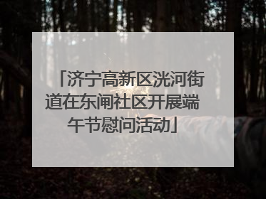 济宁高新区洸河街道在东闸社区开展端午节慰问活动