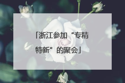 浙江参加“专精特新”的聚会