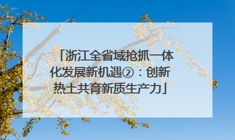 浙江全省域抢抓一体化发展新机遇②：创新热土共育新质生产力