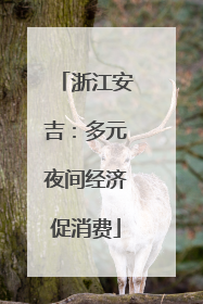 浙江安吉：多元夜间经济促消费