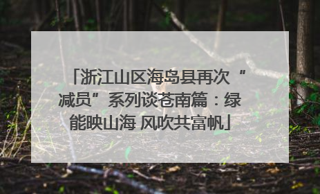浙江山区海岛县再次“减员”系列谈苍南篇：绿能映山海 风吹共富帆