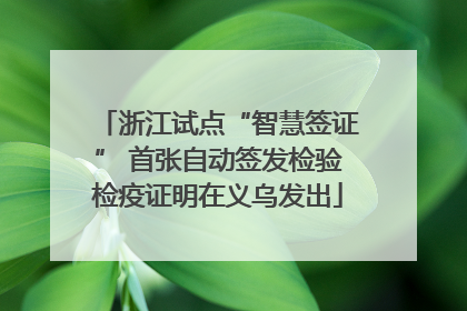浙江试点“智慧签证” 首张自动签发检验检疫证明在义乌发出