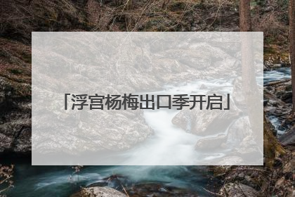 浮宫杨梅出口季开启