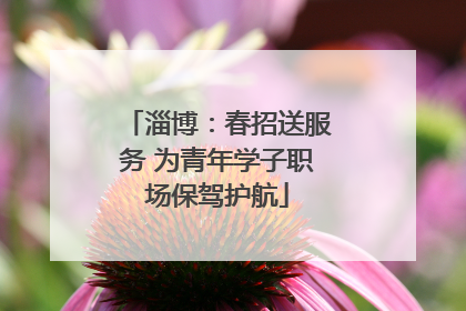 淄博：春招送服务 为青年学子职场保驾护航