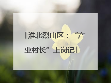 淮北烈山区：“产业村长”上岗记