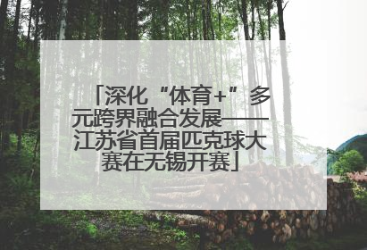 深化“体育+”多元跨界融合发展——江苏省首届匹克球大赛在无锡开赛