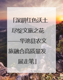 深耕红色沃土 尽绽文旅之花——华池县农文旅融合高质量发展走笔
