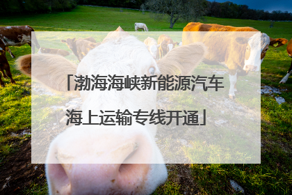 渤海海峡新能源汽车海上运输专线开通