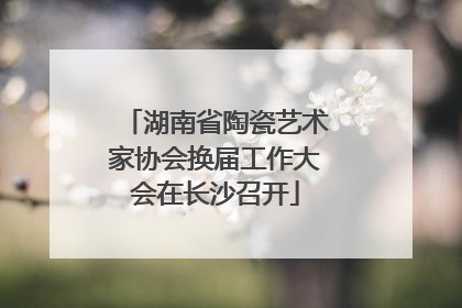 湖南省陶瓷艺术家协会换届工作大会在长沙召开