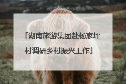 湖南旅游集团赴杨家坪村调研乡村振兴工作