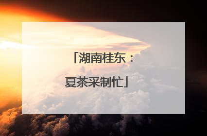 湖南桂东：夏茶采制忙