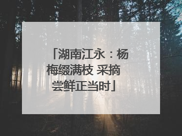 湖南江永：杨梅缀满枝 采摘尝鲜正当时