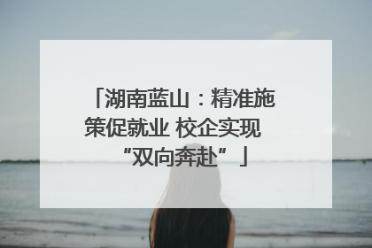 湖南蓝山：精准施策促就业 校企实现“双向奔赴”