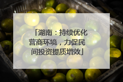湖南：持续优化营商环境，力促民间投资提质增效