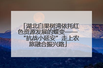 湖北白果树湾依托红色资源发展的蝶变——“抗战小延安”走上农旅融合振兴路
