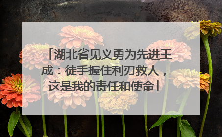 湖北省见义勇为先进王成：徒手握住利刃救人，这是我的责任和使命