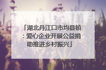 湖北丹江口市均县镇：爱心企业开展公益捐助推进乡村振兴