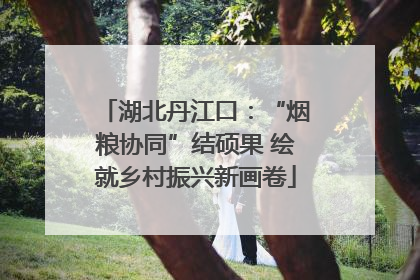 湖北丹江口：“烟粮协同”结硕果 绘就乡村振兴新画卷