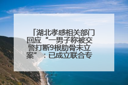 湖北孝感相关部门回应“一男子称被交警打断9根肋骨未立案”：已成立联合专班开展工作