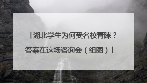 湖北学生为何受名校青睐？答案在这场咨询会（组图）
