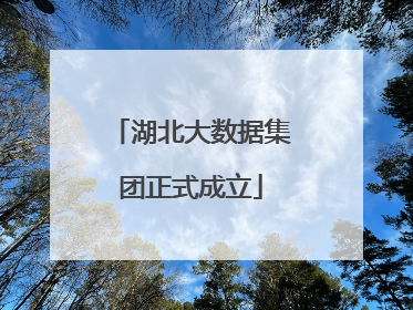 湖北大数据集团正式成立