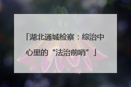 湖北通城检察：综治中心里的“法治前哨”