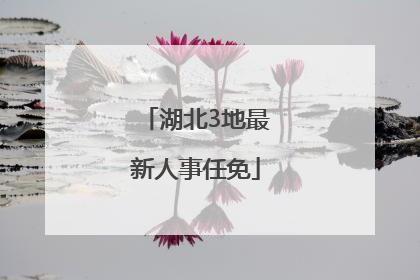 湖北3地最新人事任免