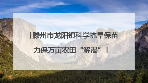 滕州市龙阳镇科学抗旱保苗 力保万亩农田“解渴”