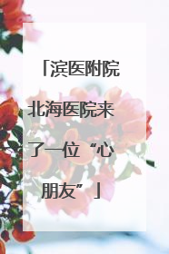 滨医附院北海医院来了一位“心朋友”