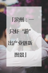 滨州：一只虾“游”出产业链新图景