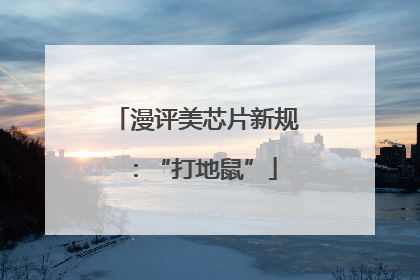 漫评美芯片新规：“打地鼠”