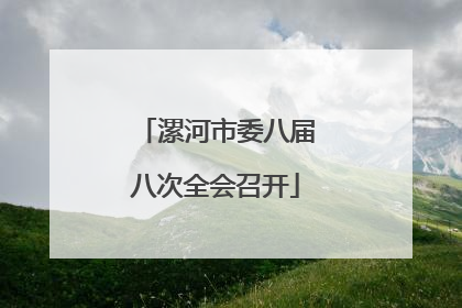 漯河市委八届八次全会召开